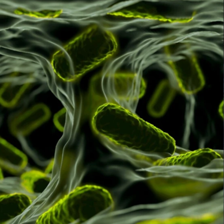 Scientific illustration-biofilm