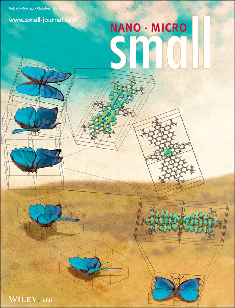 Journal Cover-Small-What’s similar between a butterfly and molecular orbital configuration?