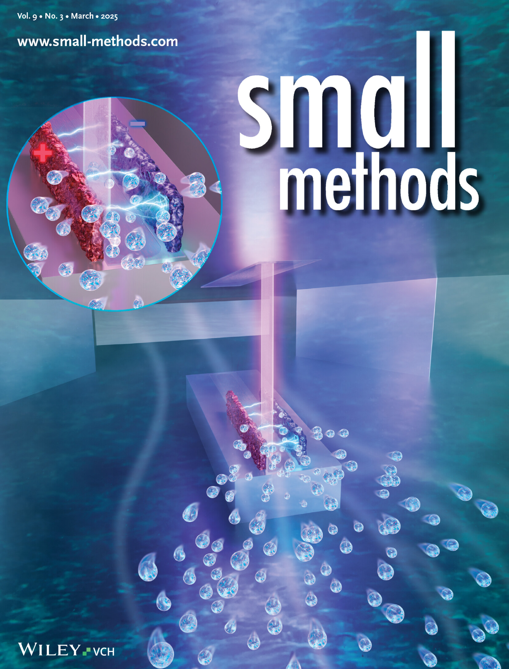 Small Methods Cover
