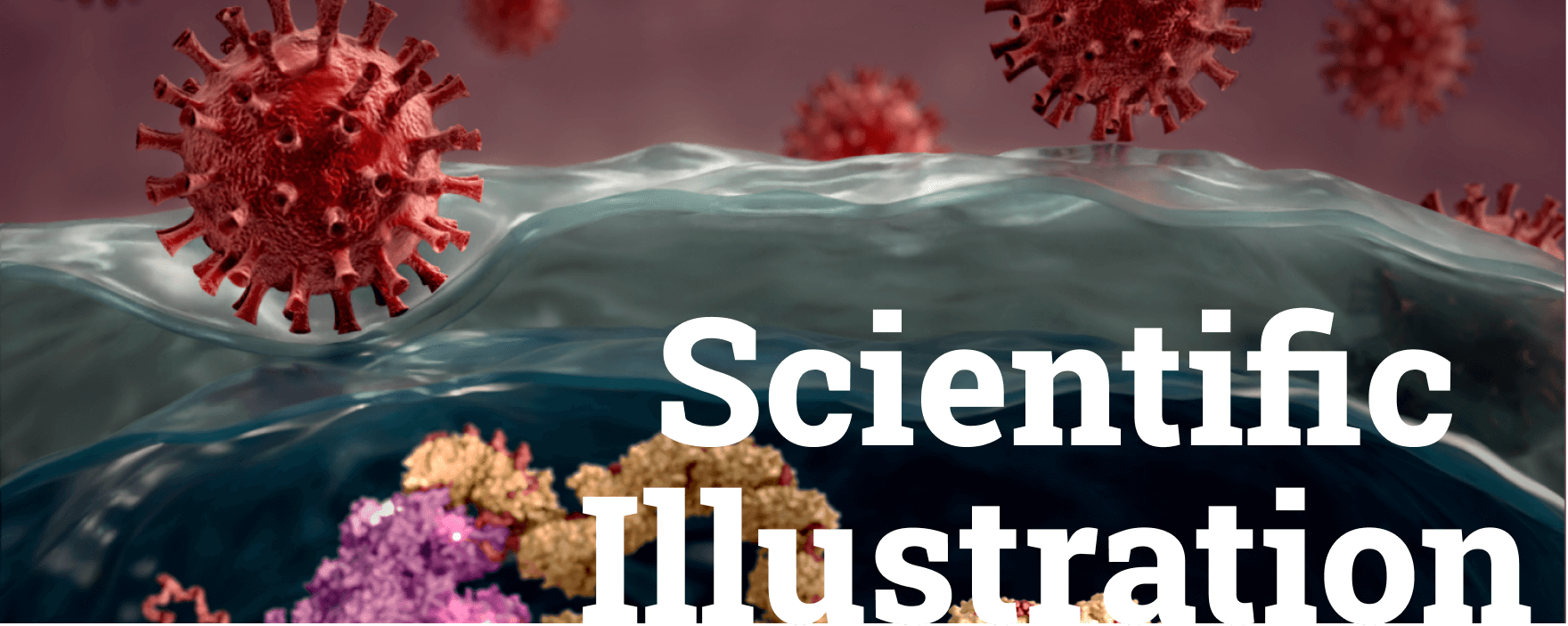 breadcrumb-img03.png (2) (1)